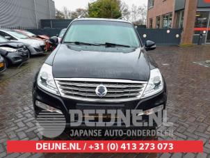 Ssang Yong Rexton 12-