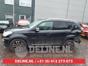 Ssang Yong Rexton 12-