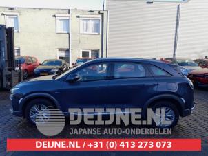 Hyundai Nexo 18-