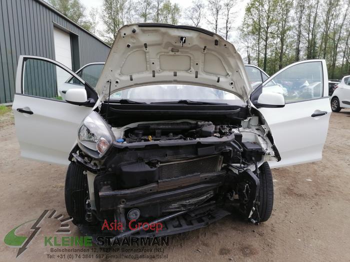 Kia Picanto 1.2 16V Sloopvoertuig (2011, Wit)