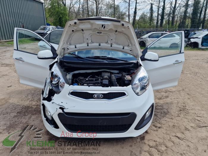 Kia Picanto 1.0 12V Sloopvoertuig (2013, Wit)