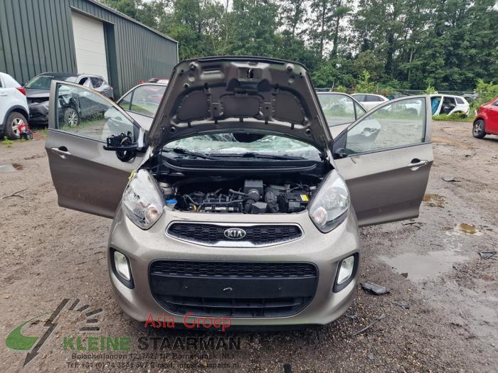 Kia Picanto 1.0 12V Sloopvoertuig (2015, Grijs)