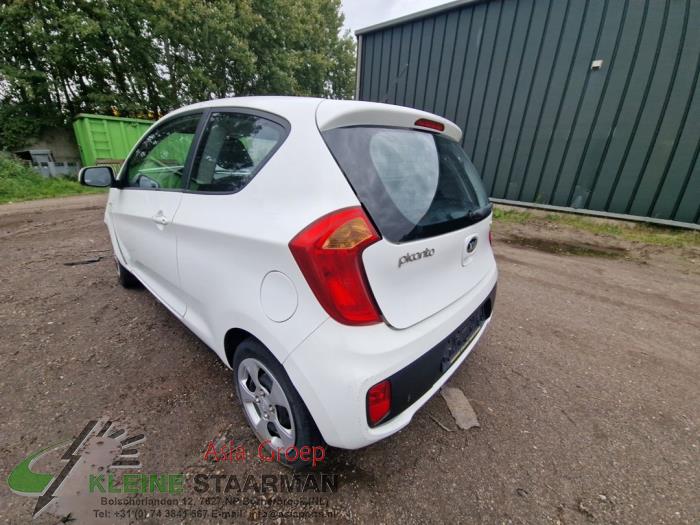 Kia Picanto 1.2 16V Sloopvoertuig (2013, Wit)