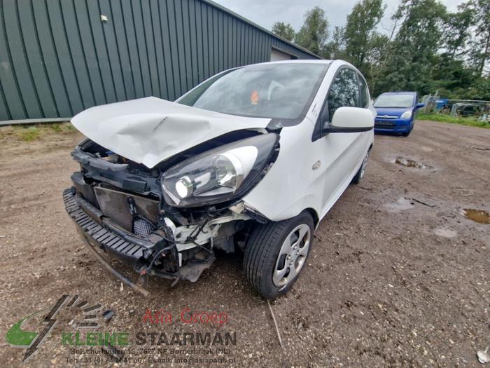 Kia Picanto 1.2 16V Sloopvoertuig (2013, Wit)