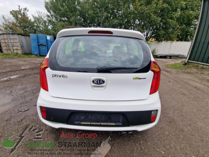 Kia Picanto 1.2 16V Sloopvoertuig (2013, Wit)