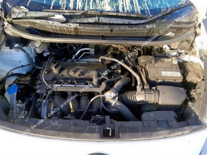 Kia Rio III 1.2 CVVT 16V Sloopvoertuig (2016, Wit)