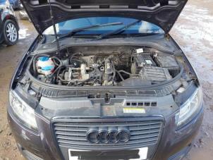 Audi A3 Cabriolet 1.2 TFSI Sloopvoertuig (2010, Donker, Paars)