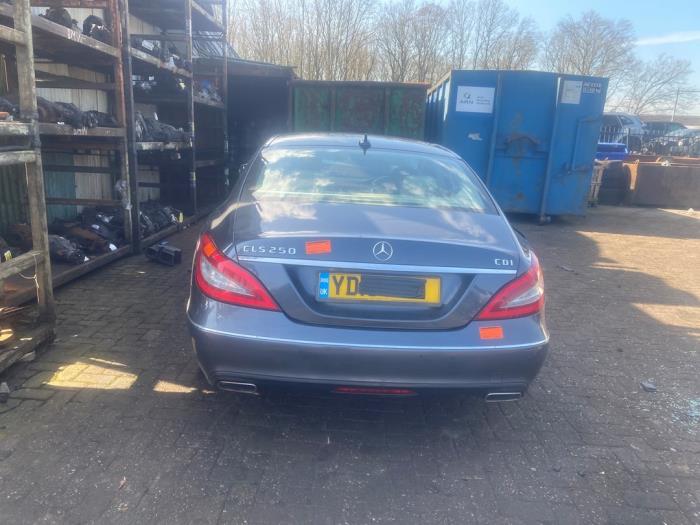 Mercedes CLS 250 CDI BlueEfficiency,BlueTEC, 250 d Sloopvoertuig (2013)