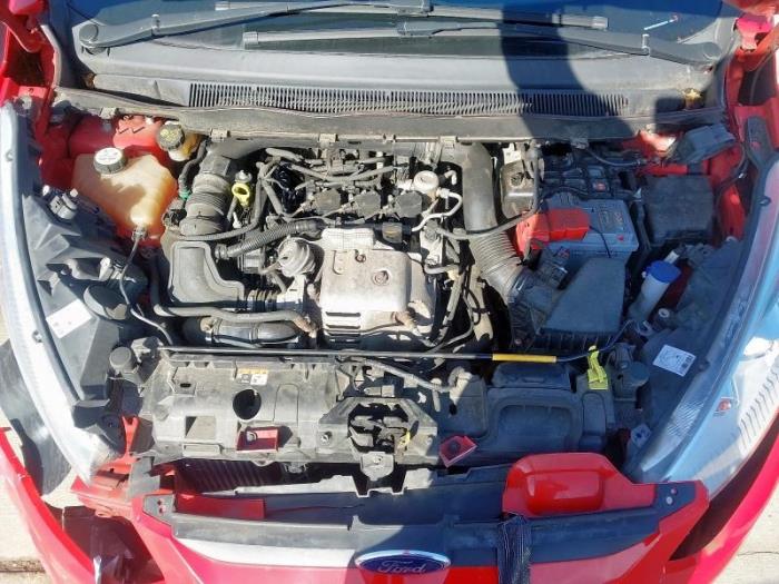 Ford B-Max 1.0 EcoBoost 12V 125 Sloopvoertuig (2016, Rood)
