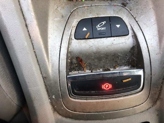 Citroen C5 III Tourer 2.0 16V Sloopvoertuig (2009, Blauw)