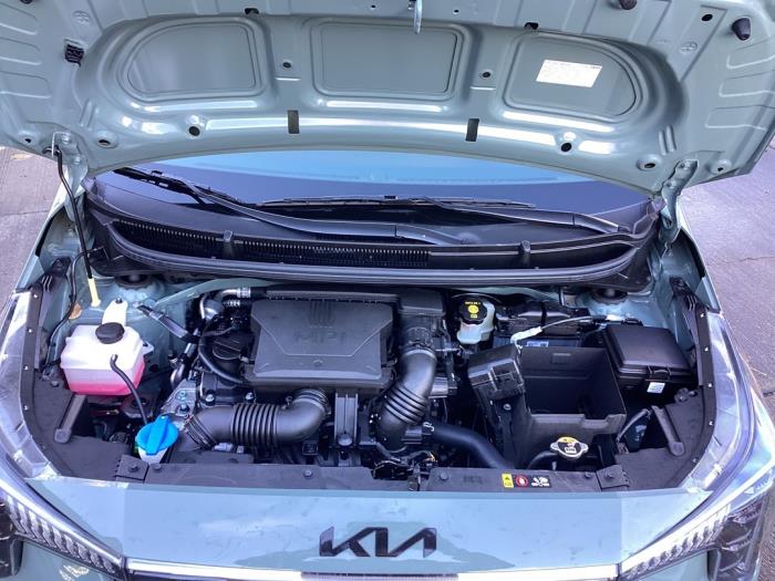 Kia Picanto 1.0 DPI 12V Sloopvoertuig (2025, Groen)