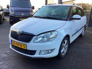 Skoda Fabia II Combi 1.2 TDI 12V Greenline  (Schade)