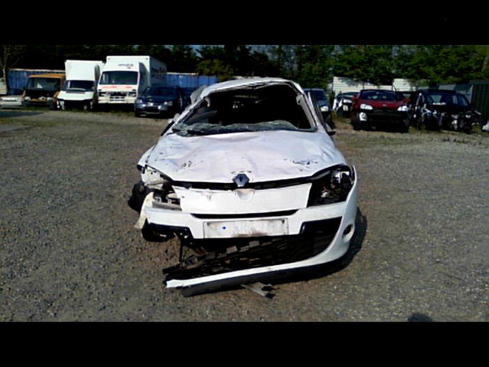 Renault Megane V1915