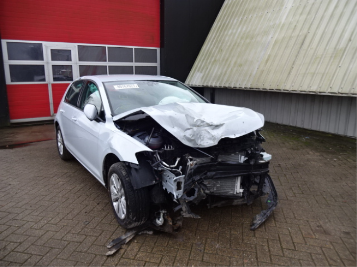 Volkswagen Golf VII 1.6 TDI 16V Sloopvoertuig (2017, Grijs)