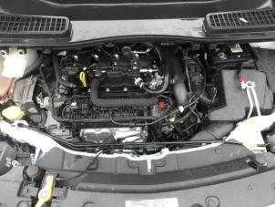 Ford Kuga II 1.5 EcoBoost 16V 4x4 Sloopvoertuig (2019, Wit, Roze)