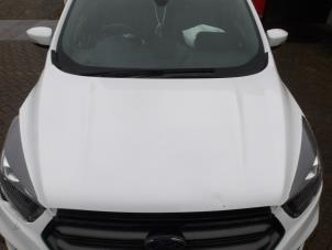 Ford Kuga II 1.5 EcoBoost 16V 4x4 Sloopvoertuig (2019, Wit, Roze)