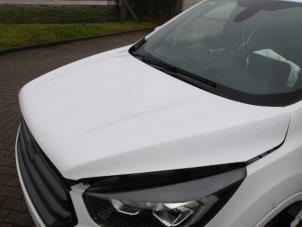 Ford Kuga II 1.5 EcoBoost 16V 4x4 Sloopvoertuig (2019, Wit, Roze)