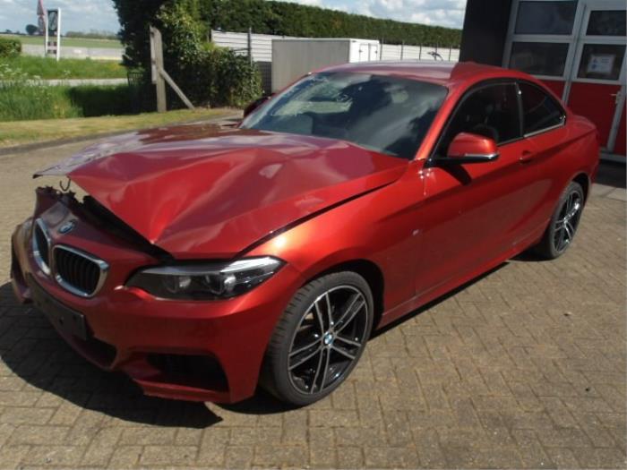 BMW 2 serie 218i 1.5 TwinPower Turbo 12V Sloopvoertuig (2020, Metallic, Oranje)