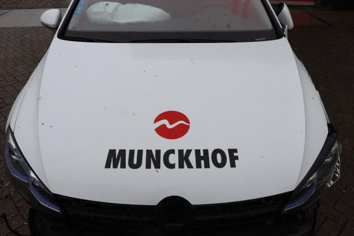 Volkswagen Golf VII e-Golf Sloopvoertuig (2020, Wit)