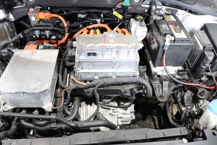 Volkswagen Golf VII e-Golf Sloopvoertuig (2020, Wit)