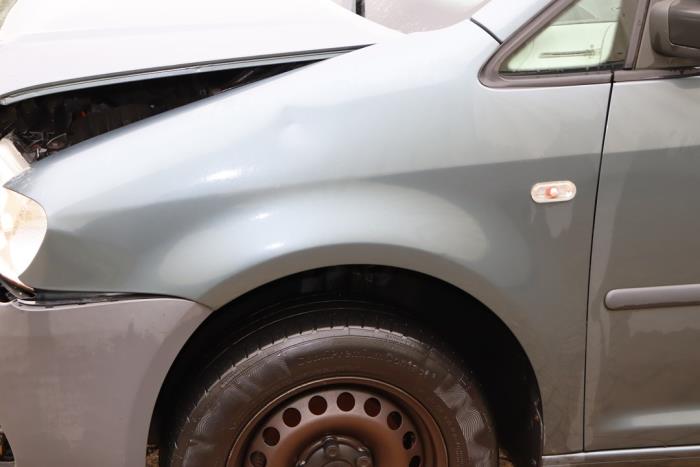 Volkswagen Caddy III 2.0 SDI Sloopvoertuig (2009, Metallic, Zilvergrijs)