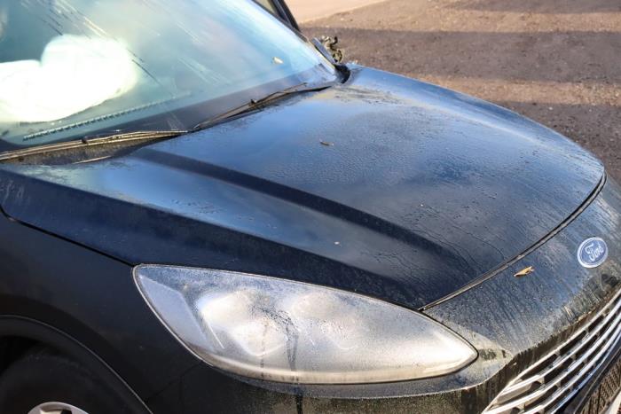 Ford Kuga III 2.5 PHEV 16V Sloopvoertuig (2022, Zwart)