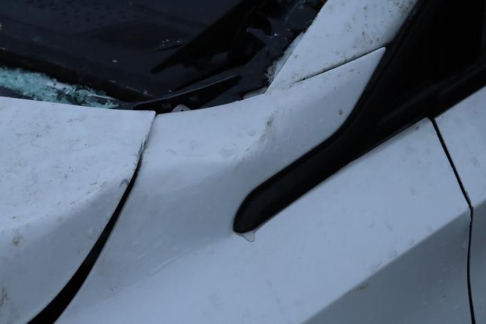 MG MG4 Electric Standard 51 kWh Sloopvoertuig (2023, Wit)