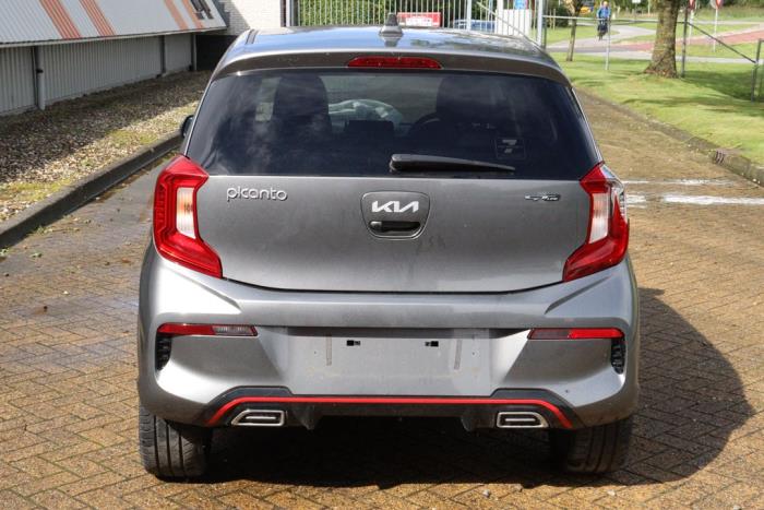 Kia Picanto 1.0 12V Sloopvoertuig (2023, Grijs)