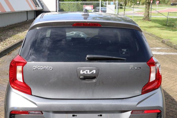 Kia Picanto 1.0 12V Sloopvoertuig (2023, Grijs)