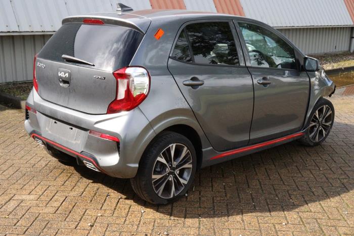 Kia Picanto 1.0 12V Sloopvoertuig (2023, Grijs)