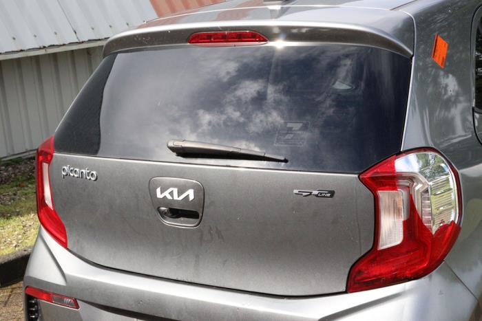 Kia Picanto 1.0 12V Sloopvoertuig (2023, Grijs)