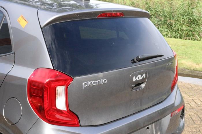 Kia Picanto 1.0 12V Sloopvoertuig (2023, Grijs)