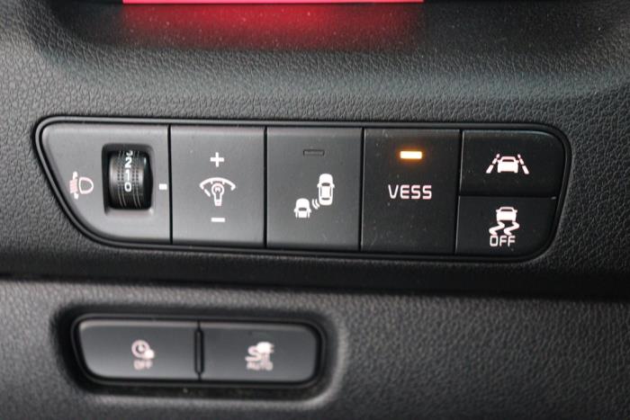 Kia Niro I E-Niro 64 kWh Sloopvoertuig (2020, Blauw)