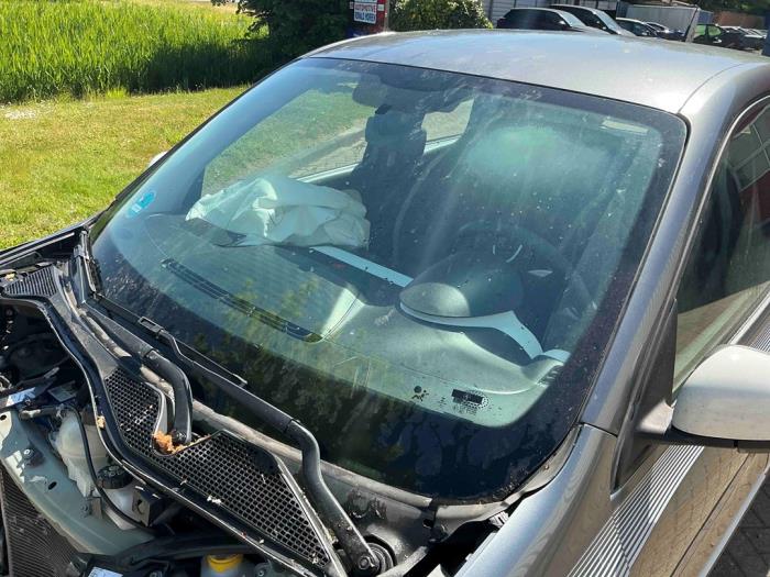 Renault Twingo III 1.0 SCe 70 12V Sloopvoertuig (2017, Metallic, Zilvergrijs)