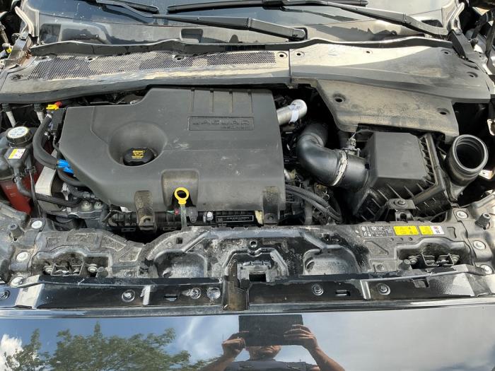 Jaguar E-Pace 2.0 D 165 MHEV 16V AWD Sloopvoertuig (2024, Metallic, Zwart)