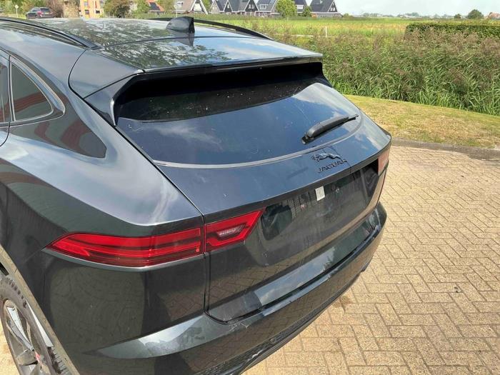 Jaguar E-Pace 2.0 D 165 MHEV 16V AWD Sloopvoertuig (2024, Metallic, Zwart)