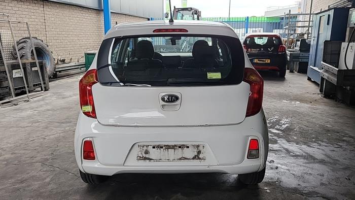Kia Picanto 1.0 12V LPG Sloopvoertuig (2016, Wit)