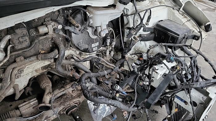 Kia Picanto 1.0 12V LPG Sloopvoertuig (2016, Wit)