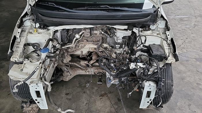 Kia Picanto 1.0 12V LPG Sloopvoertuig (2016, Wit)