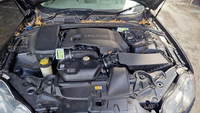 Jaguar XF 3.0 D V6 24V Sloopvoertuig (2011, Blauw)