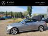 Mercedes E E-220 CDI 16V BlueEfficiency Sloopvoertuig (2011, Metallic, Zilver)