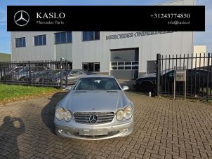 Mercedes SL 5.0 SL-500 V8 24V  (Sloop)