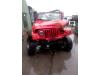 Jeep Wrangler 4.0 4x4 Sloopvoertuig (2000, Rood)