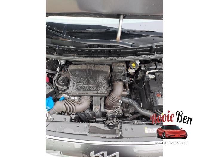 Kia Picanto 1.0 DPi 12V Sloopvoertuig (2023, Grijs)