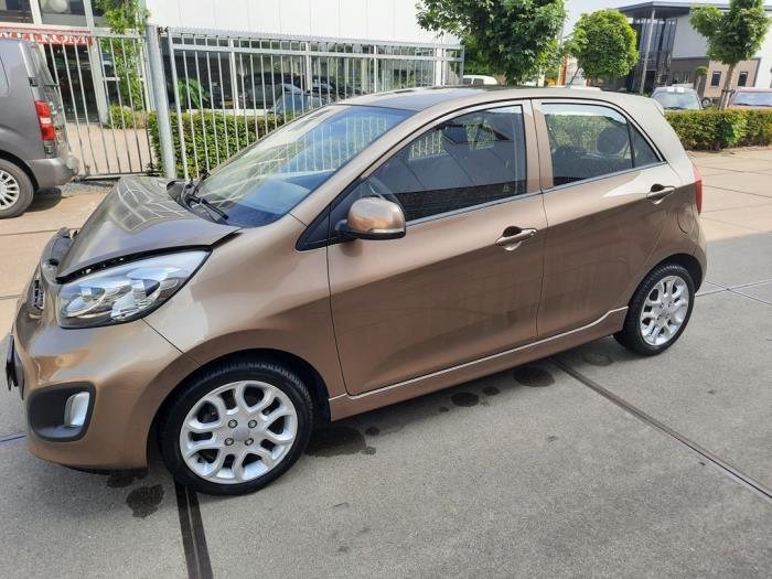 Kia Picanto 1.0 12V Sloopvoertuig (2011, Bruin)