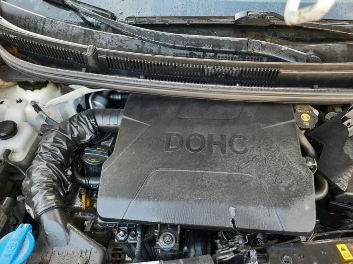 Kia Picanto 1.0 12V Sloopvoertuig (2017, Wit)