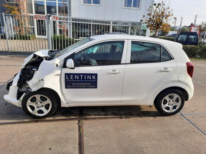 Kia Picanto 1.0 12V Sloopvoertuig (2017, Wit)