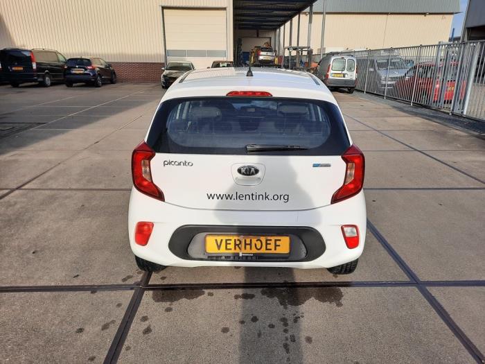 Kia Picanto 1.0 12V Sloopvoertuig (2017, Wit)