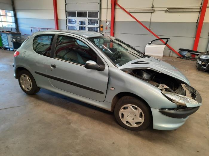 Peugeot 206 1.4 XR,XS,XT,Gentry Sloopvoertuig (2004, Grijs)