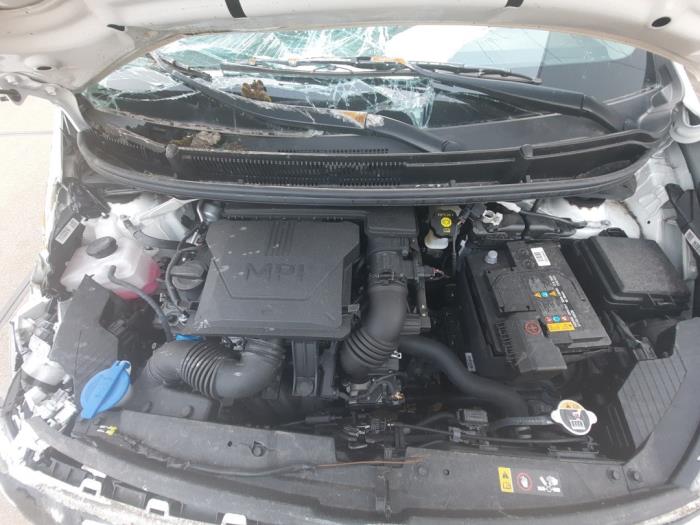 Kia Picanto 1.0 DPi 12V Sloopvoertuig (2022, Wit)